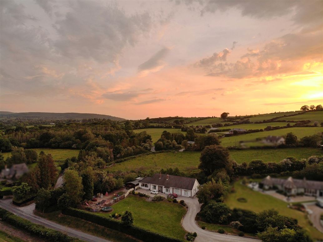 'Ash Grove', Baltyboys, Blessington, Wicklow